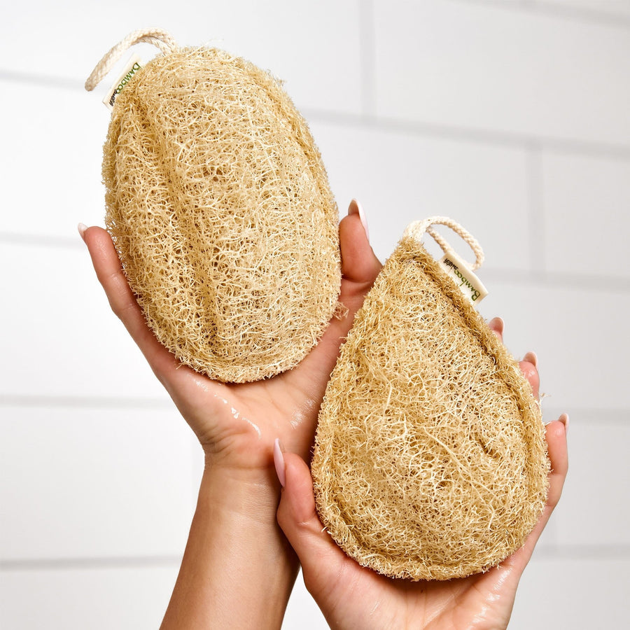 Two natural coir scrub loofhorns being held in two hands against a light gray tiled background.