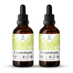 Buy Cryptolepis Tincture online - Garden Organics