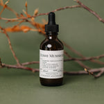 Reishi Mushroom Tincture