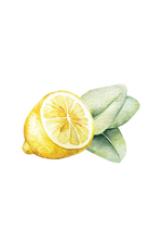 Dish Soap | Lemon & Eucalyptus
